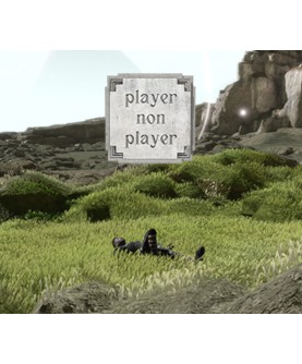 Player Non Player Steam Key GLOBAL